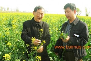 黑水虻科技苑，黑水虻养殖技术视频
