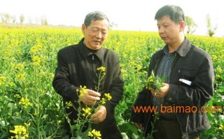 黑水虻科技苑，黑水虻养殖技术视频