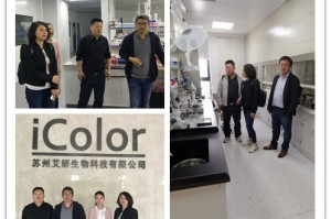 广州妍叶生物科技，广州妍叶生物科技有限公司