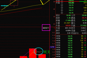 金能科技走势，金能科技走势分析