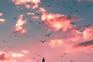 音乐下载mp3，音乐下载mp3免费