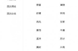 建小说网站用什么软件下载，建小说网站用什么软件下载好