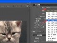 pr字幕格式是什么软件下载，pr字幕格式是什么软件下载的
